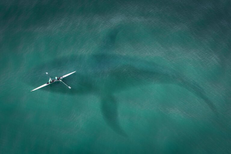 boat, from above, top view-2435056.jpg